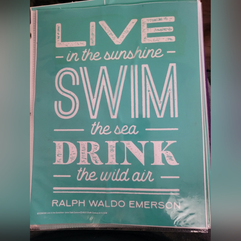 Chalk Couture Transfer live in the sunshine